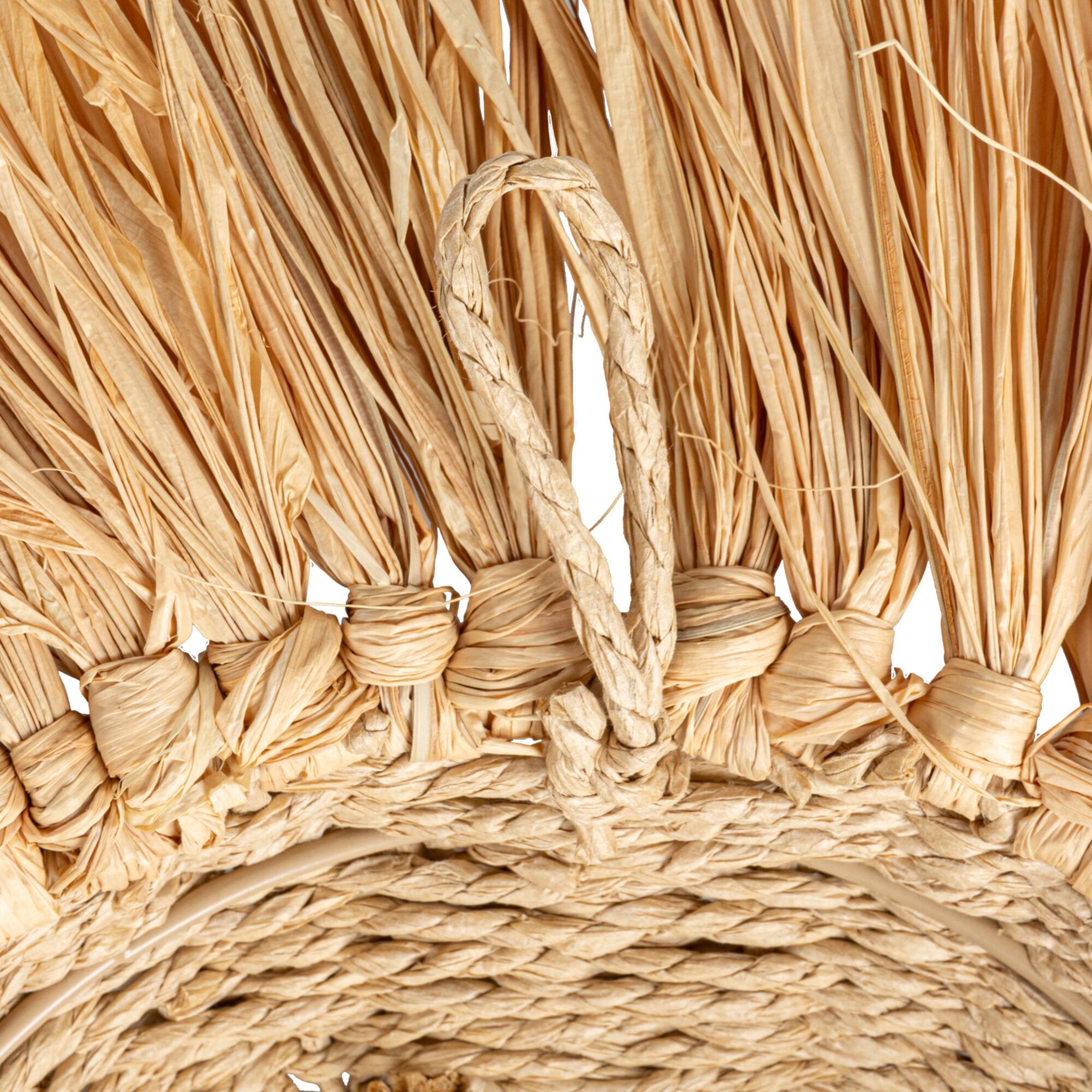 Hello Honey® 16.5" Natural Savannah King Raffia Lion Wall Art